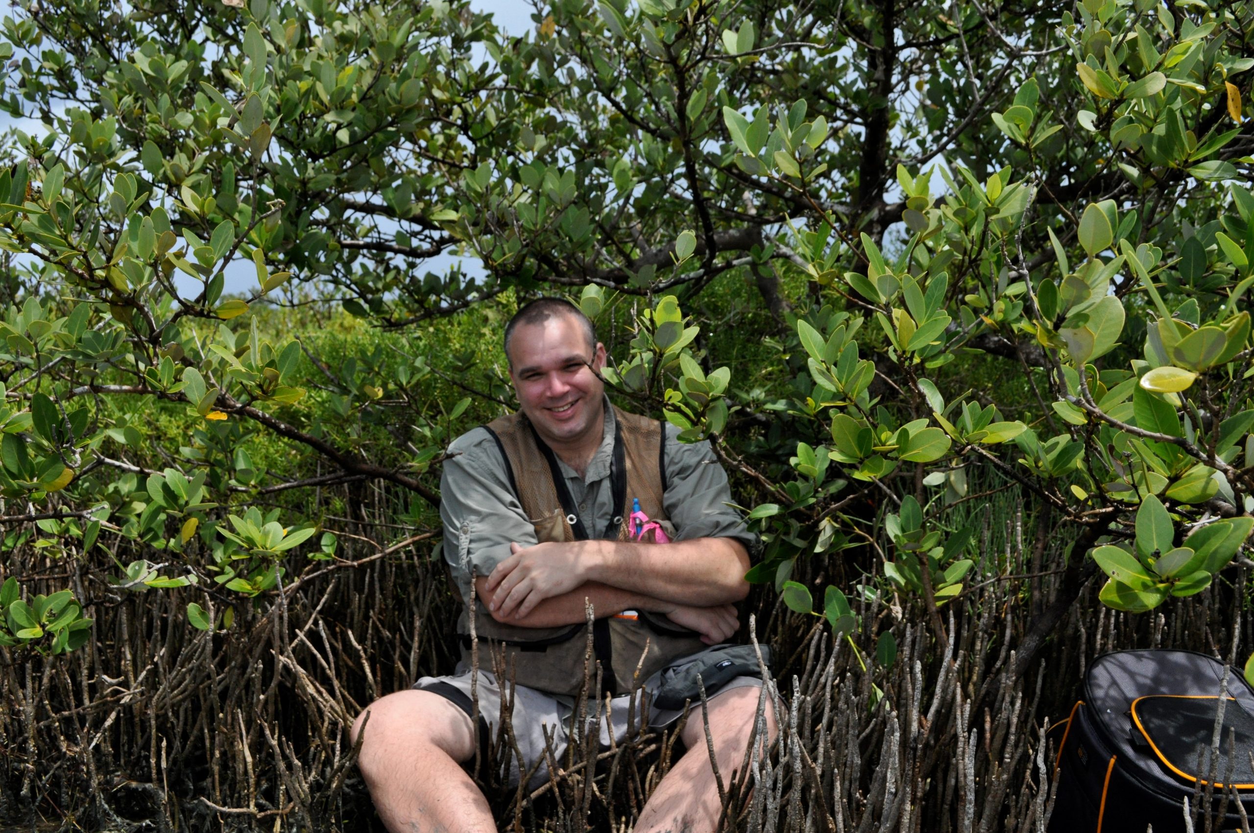 Dr. Ryan Earley sitting among mangrove trees.