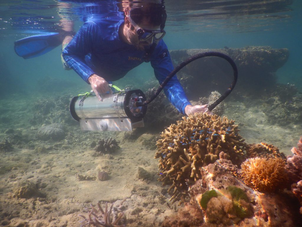 Dr. Kenneth Hoadley inspects coral on a recent dive. (Photo credit: Dr. Kenneth Hoadley)
